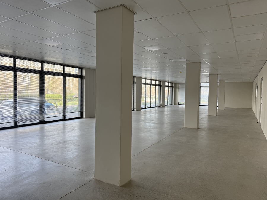 To Let Commercial Property for Rent in Paardevlei Western Cape